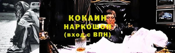 индика Верхний Тагил