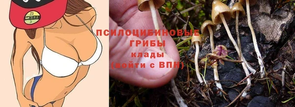 бошки Михайловка