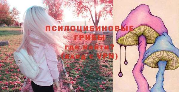 бошки Михайловка
