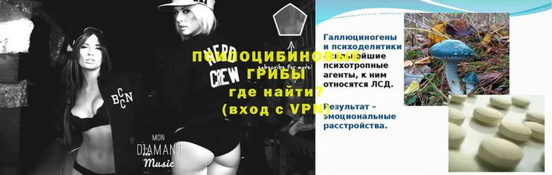 Галлюциногенные грибы GOLDEN TEACHER  Лениногорск 