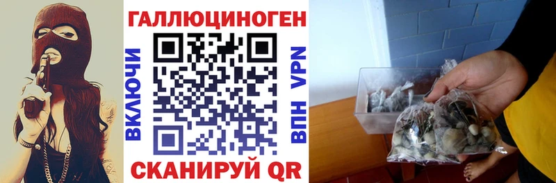 продажа наркотиков  ссылка на мегу ССЫЛКА  Галлюциногенные грибы прущие грибы  Лениногорск 