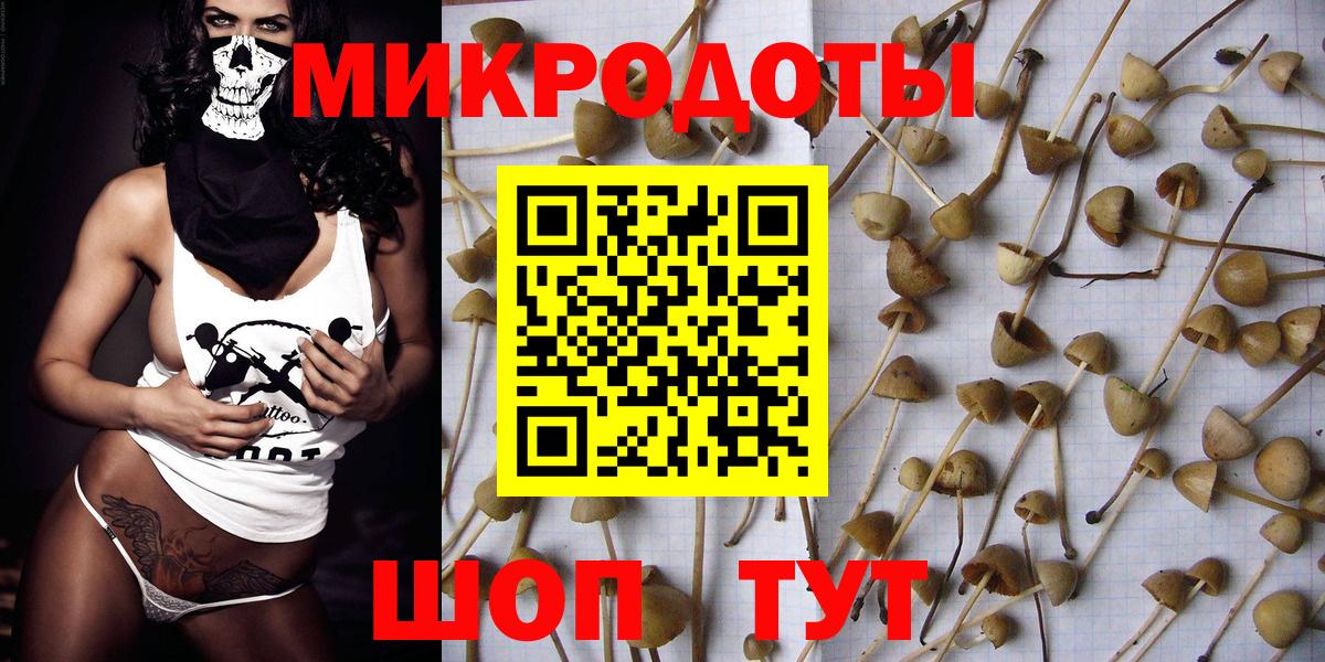 Галлюциногенные грибы мицелий Лениногорск