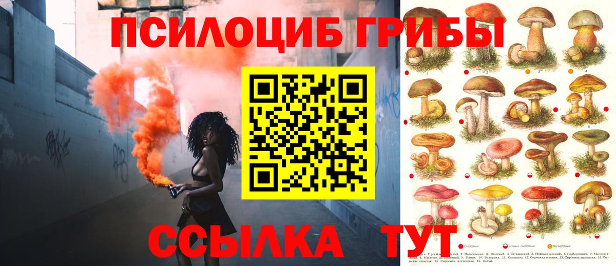 COCAIN  Лениногорск  Меф   Гашиш  Канабис  Вход с VPN 